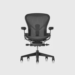 Aeron Chair, Large (C), Graphite | Graphite | Fully Adjustable Arms | Size C